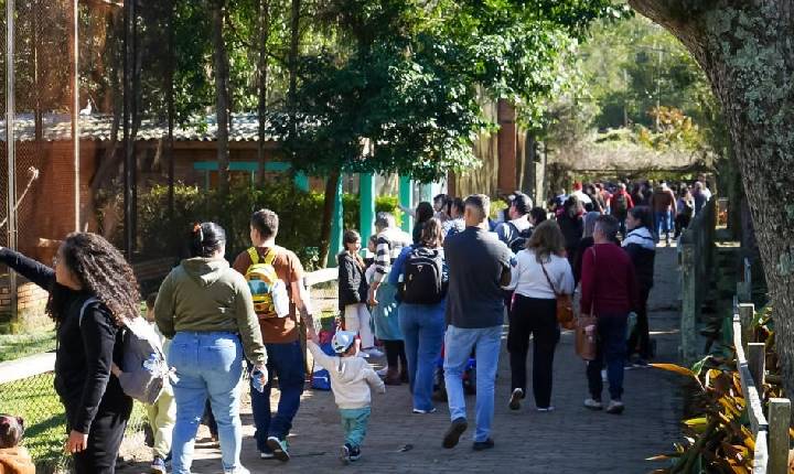 20 mil pessoas no Zoológico nos primeiros quatro dias de reabertura