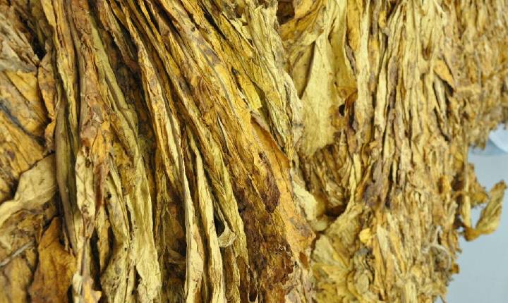 Entidades unem forças para cobrar transparência na comercialização do tabaco