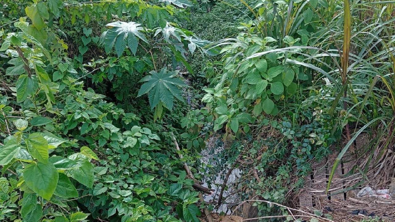 Moradores cobram solução para 
