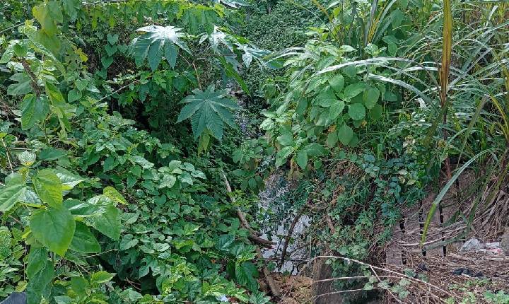 Moradores cobram solução para 