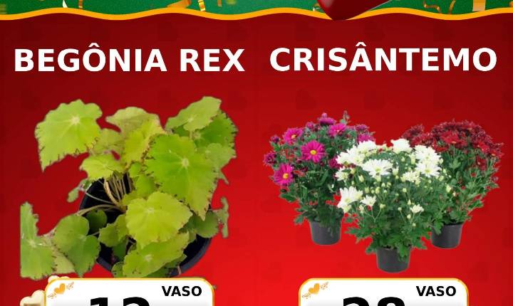 Para tudo! Tem muito produto em oferta no Marquetto