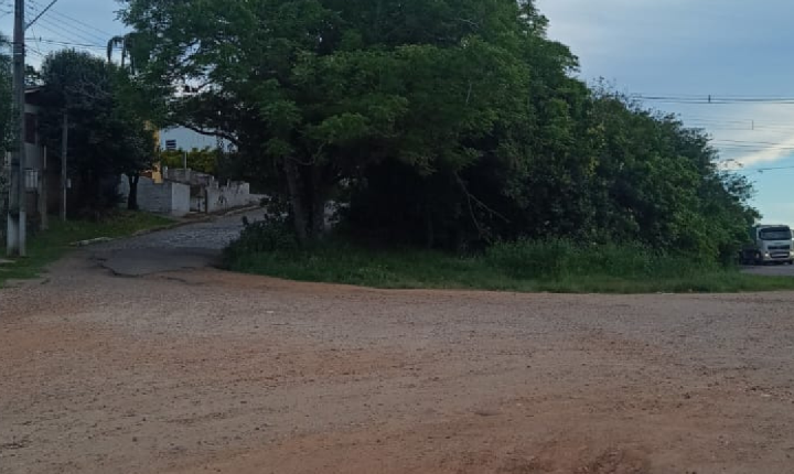 Polícia busca responsável por criança achada em matagal