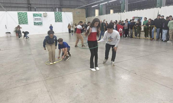 Galeria de Imagem