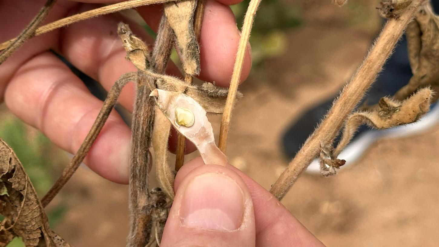 Defesa civil estadual avalia danos da estiagem em Rio Pardo