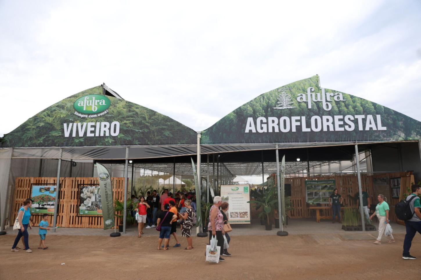 Parcerias promovem a diversificação na produção de hortaliças