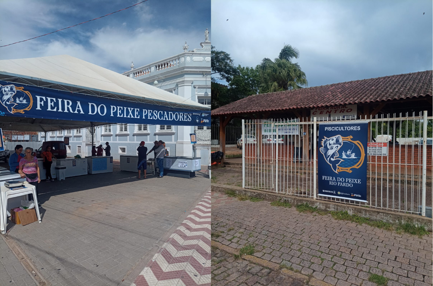 Em Rio Pardo, começaram as feiras do peixe: Confira os preços