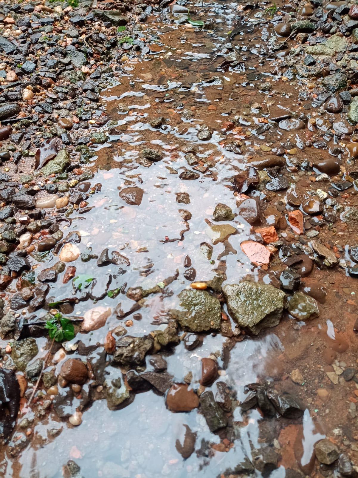 Saiba quanto já choveu em Rio Pardo e a previsão para as próximas horas