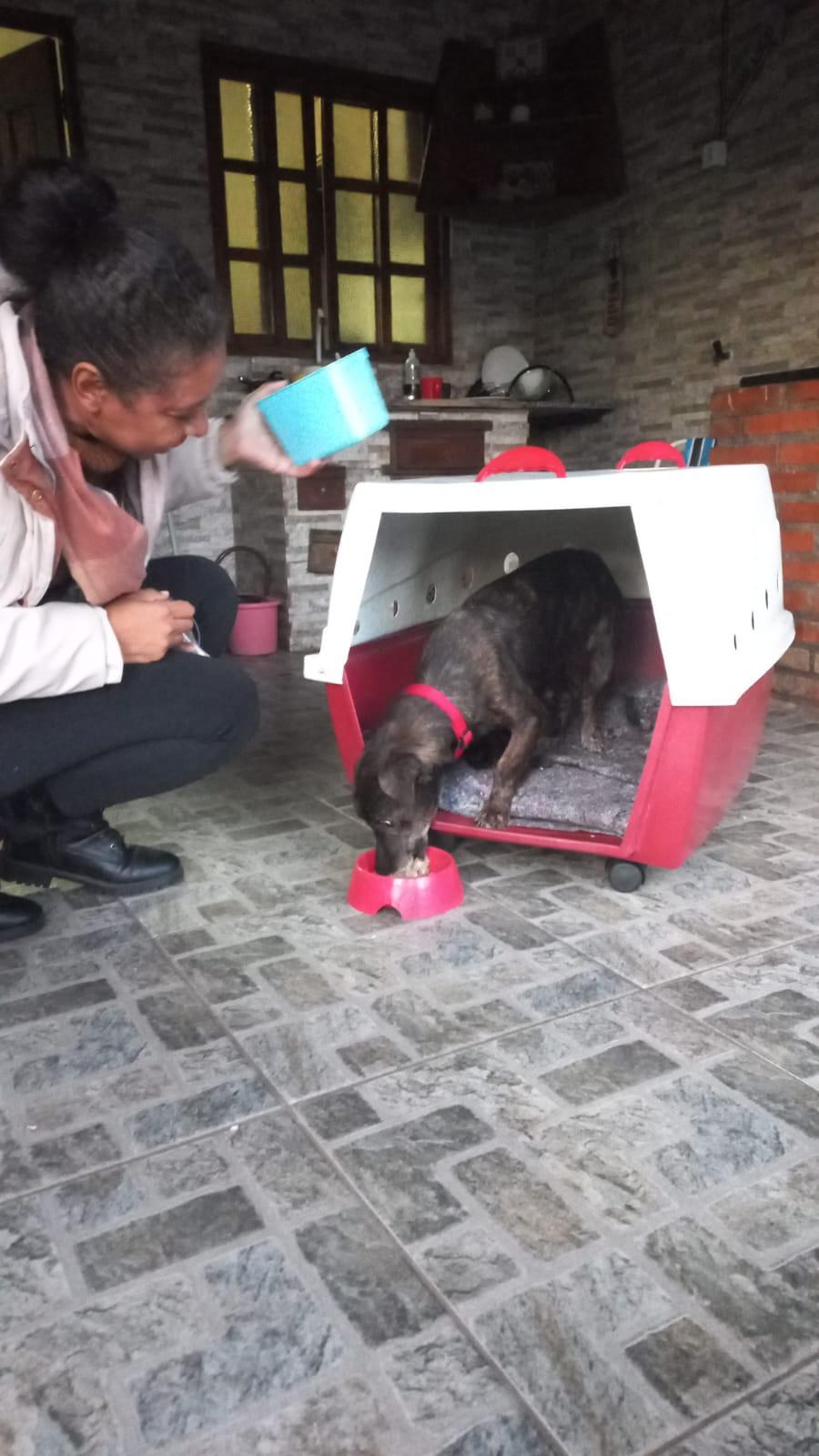 Eles só precisam de cuidado