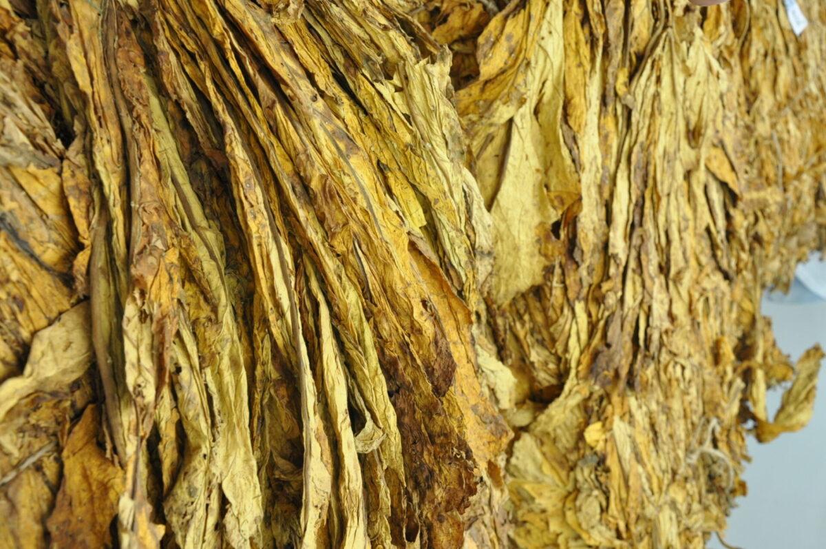 Entidades unem forças para cobrar transparência na comercialização do tabaco