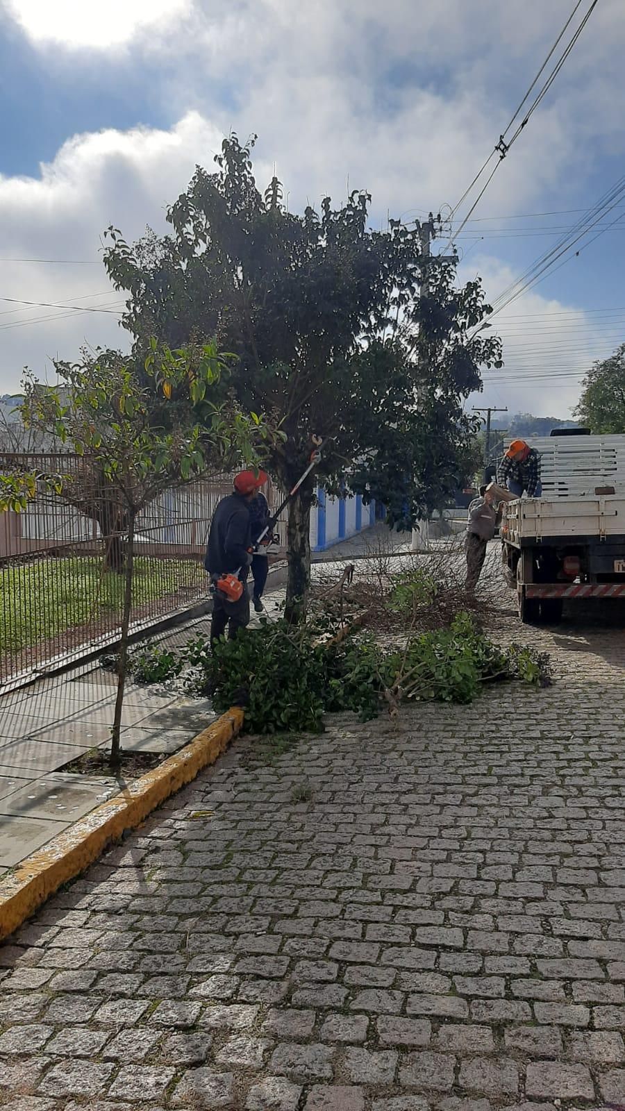 Prefeitura intensifica serviço de poda de árvores em Rio Pardo