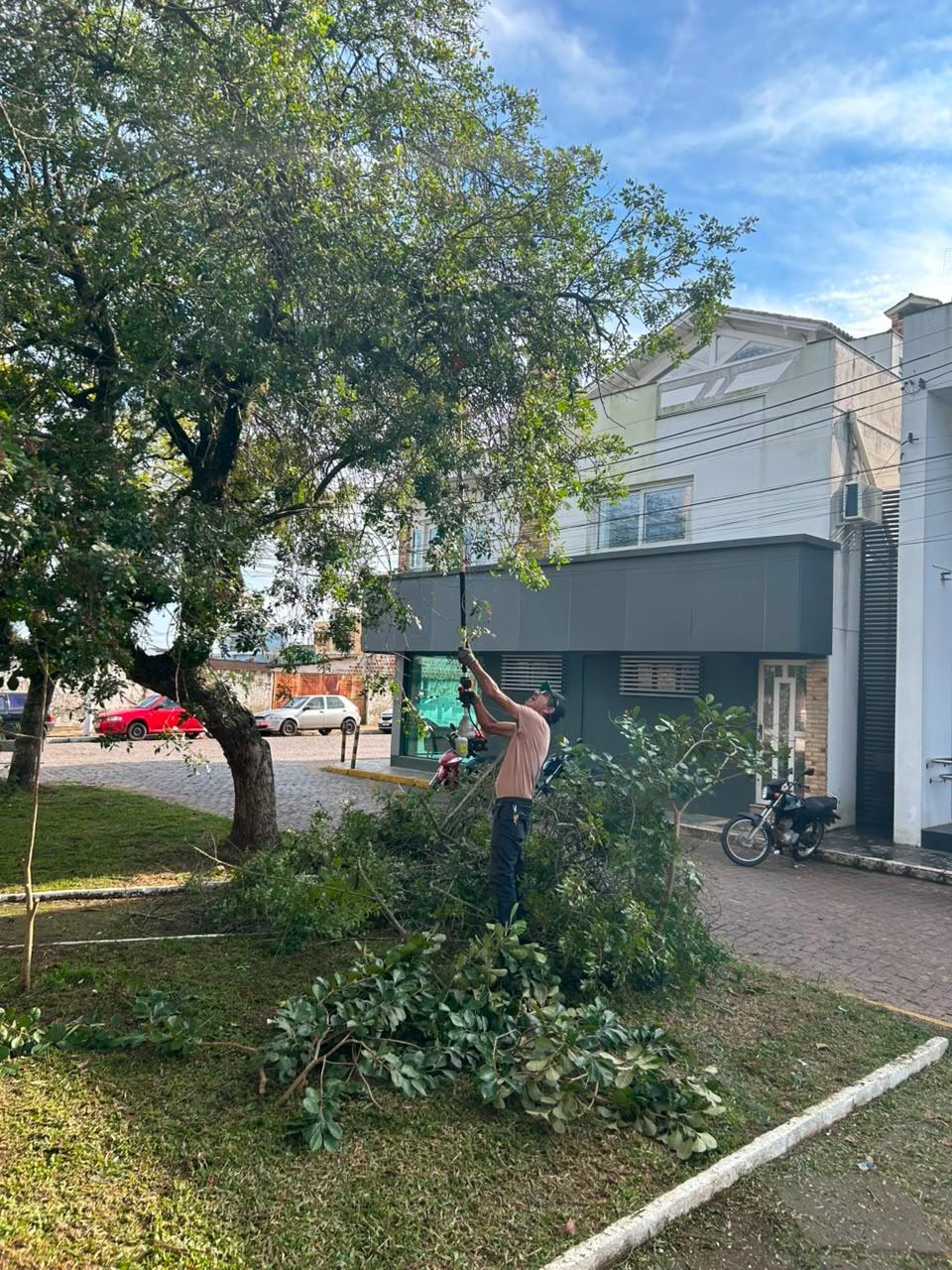 Equipe de podas remove mais de 156 árvores após temporal em Rio Pardo