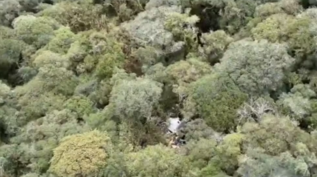 Destroços de helicóptero com cantor Rick são encontrados