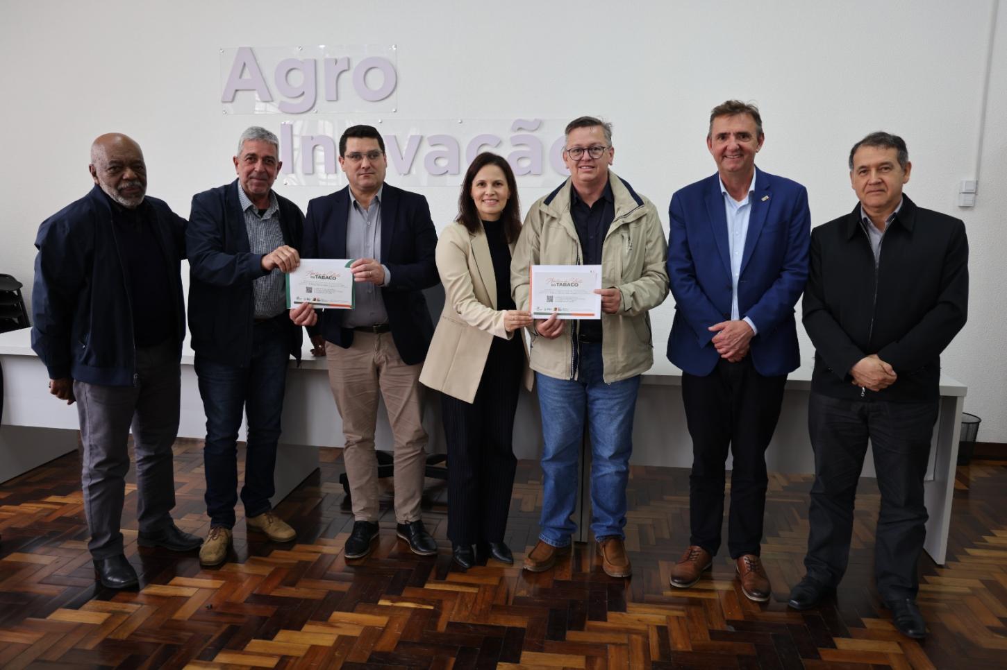 Colheita do tabaco começa oficialmente em novembro