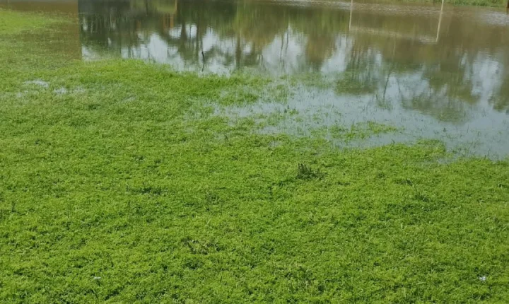 Cheias em Rio Pardo já é realidade e primeiras famílias deixam áreas de risco