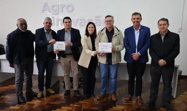 Colheita do tabaco começa oficialmente em novembro