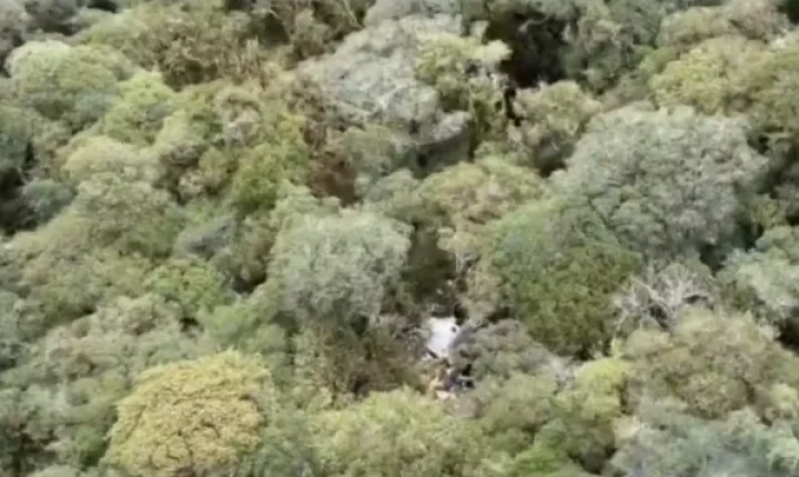 Destroços de helicóptero com cantor Rick são encontrados