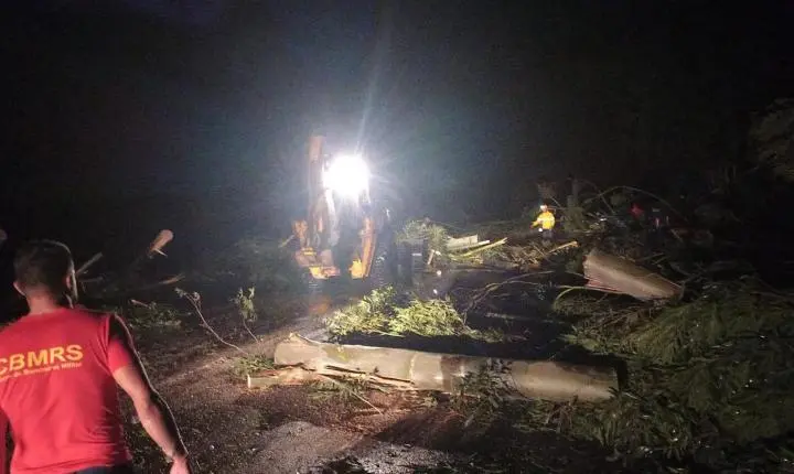 Equipe de podas remove mais de 156 árvores após temporal em Rio Pardo