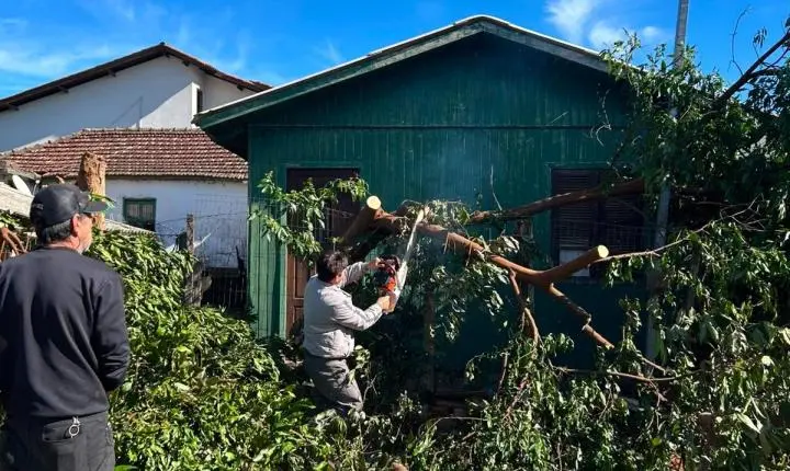 Equipe de podas remove mais de 156 árvores após temporal em Rio Pardo
