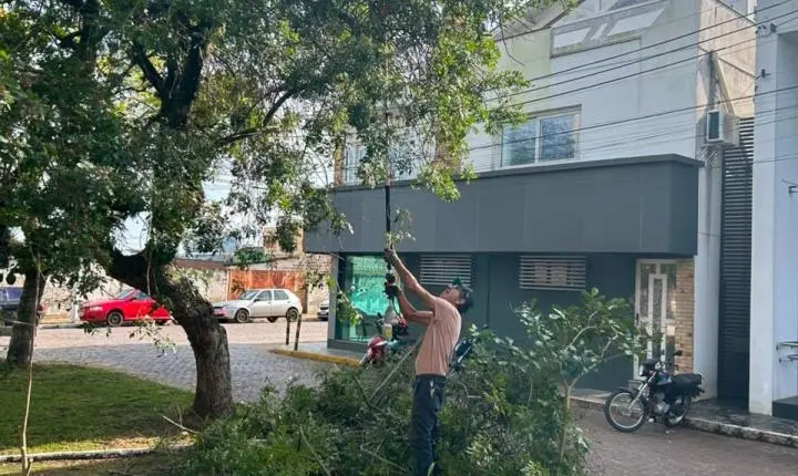 Equipe de podas remove mais de 156 árvores após temporal em Rio Pardo