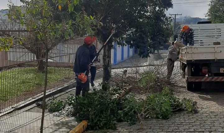 Prefeitura intensifica serviço de poda de árvores em Rio Pardo